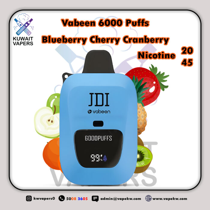 Vabeen Blueberry Cherry Cranberry 6000 Puffs