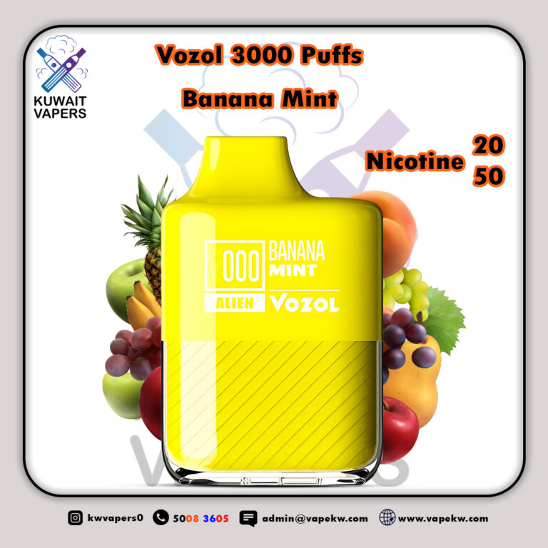 Vozol Banana Mint 3000 Puffs