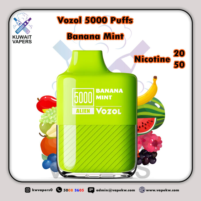 Vozol Banana Mint 5000 Puffs