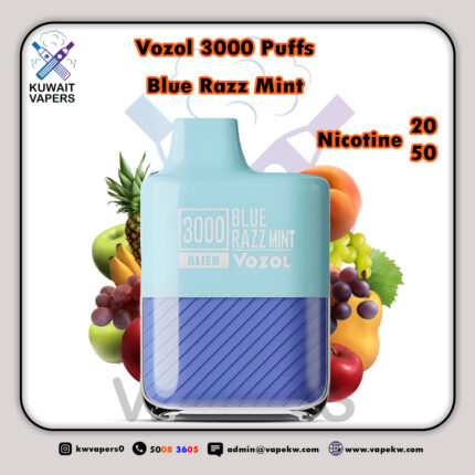 Vozol Blue Razz Mint 3000 Puffs