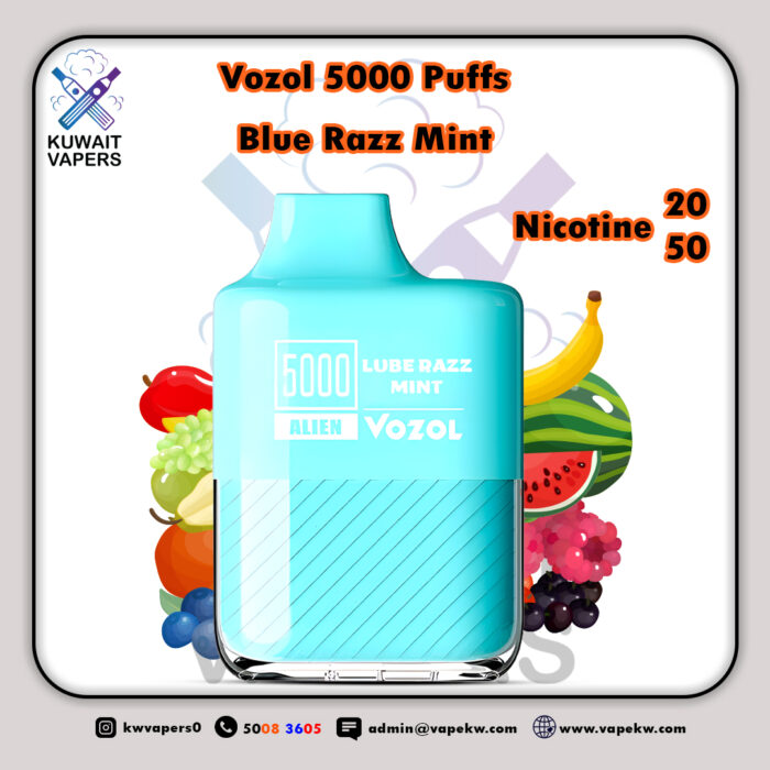 Vozol Blue Razz Mint 5000 Puffs