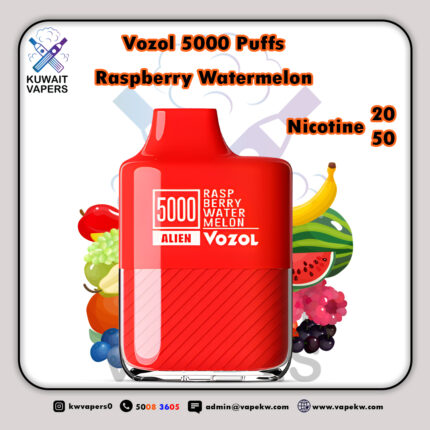 Vozol Raspberry Watermelon 5000 Puffs