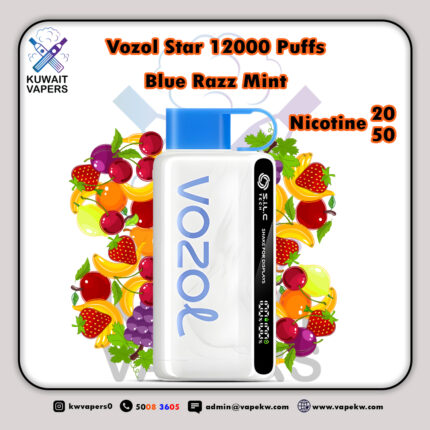 Vozol Star Blue Razz Mint 12000 Puffs