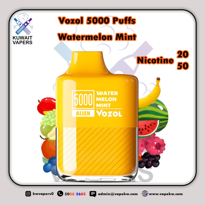 Vozol Watermelon Mint 5000 Puffs