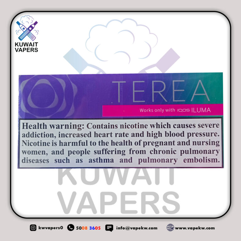 Terea Purple Wave Menthol 200 pieces