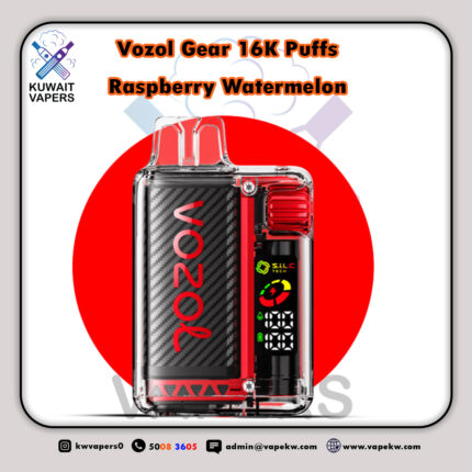 vozol vista Raspberry Watermelon 16K puffs