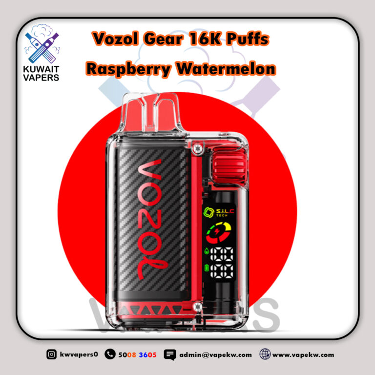 vozol vista Raspberry Watermelon 16K puffs